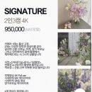 ഒW11 . 더링크웨딩홀 가성비본식DVD 라이크필름 계약후기₊˚ | 짝꿍코드 11만원 할인방법 공유 📽️ 💍