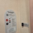 비너스;와코루 | 명동 비너스 스캔바이미 후기 속옷 사이즈부터 체형 분석까지 받아봤어요