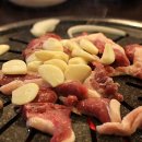 낙동생오리 이미지