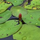 순포습지 이미지