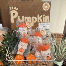 럼피범피