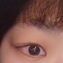 리브 아이래쉬 이미지