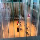 의료법인 행복한의료재단 이미지