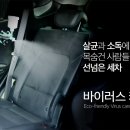 자연스팀세차 이미지