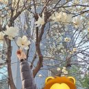 에코공원 이미지