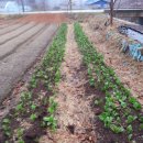 솔바람농장 이미지