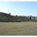 신덕고분군 이미지