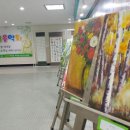 흰돌 체육관 이미지