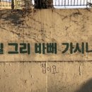 안씨네
