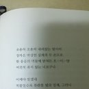 한 웅큼의 빛 이미지