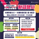 시장5로 이미지