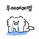 정연식당