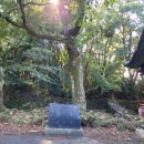 회천동 석상 이미지