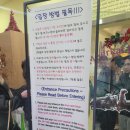 미어캣 | 내돈내산]홍대 동물카페 원탑, '미어캣프렌즈' 솔직후기 [바위너구리랑 여우 미어캣,왈라비,고양이,강아지]