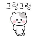 고양이묭실 이미지