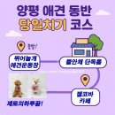 젤코바에너지 | 양평 애견동반 당일치기 용문산 드라이브 코스 추천