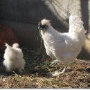 김희태농장 이미지