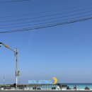 항아리칼국수 - 아산시 탕정면로 207-5 | [제주 구좌] 월정항아리 | 해산물 폭탄 칼국수 | 내돈내산 솔직후기