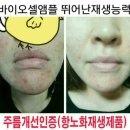제이셀바이오