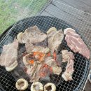 영천솔롱고글램핑 이미지