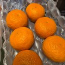 대한창고,대한창고2 | 제주 과일짱은 공항길귤창고, 제주 랜덤 과일 2kg, 우수 '후기 리뷰'에 대한 선물 언박싱/ 한라봉 & 카라향