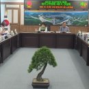 합천군청(본관) 이미지