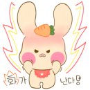 반려식물(홈가드닝) 이미지