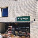 코지트리거