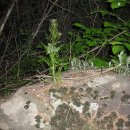 산장노래방 이미지