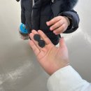 양성농장 | 아이랑 가기 좋은 안성 신상카페 노랑 나랑(베이커리+체험+포토존 한 번에)