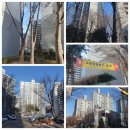 흥진중학교 | 율곡주공3단지 (리모델링 호재)