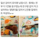 안녕하새우 이미지