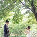미무아르 이미지