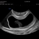 대하메디 이미지