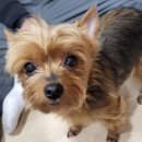 뉴빅세일마트 이미지