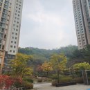 광교더포레스트탑공인중개사사무소 이미지