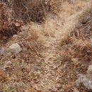 장군산길 이미지