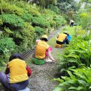 팔용산 테마공원 이미지