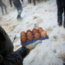 계란마을 이미지