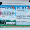 제주토이승마장 이미지