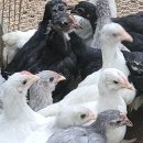 청계슈퍼 이미지