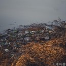 최신외과의원 네이버블로그