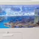 임진강민물장어산꼼장어 이미지