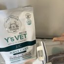 골드퍼피 애견유치원 이미지