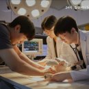 일산시티 동물의료센터 | 일산동물병원 24시 일산시티동물의료센터 24시간 진료 가능한 병원