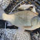 신월낚시터 이미지