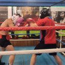 레드복싱클럽 이미지