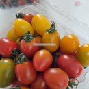 이규호농장 이미지