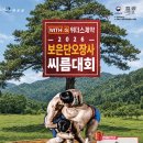 보은