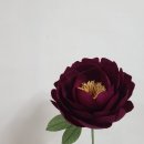 PeonyBlossom